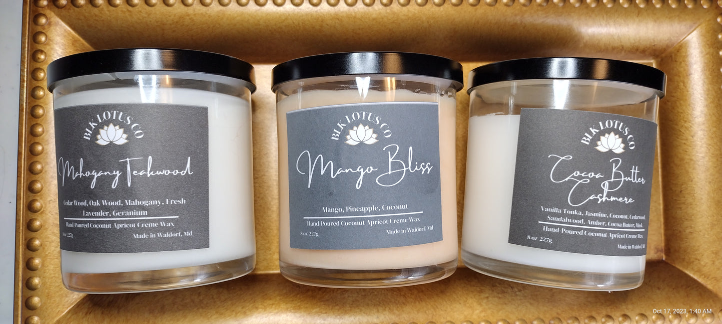 Mango Bliss Candle Luxe: Illuminating Elegance for Every Occasion