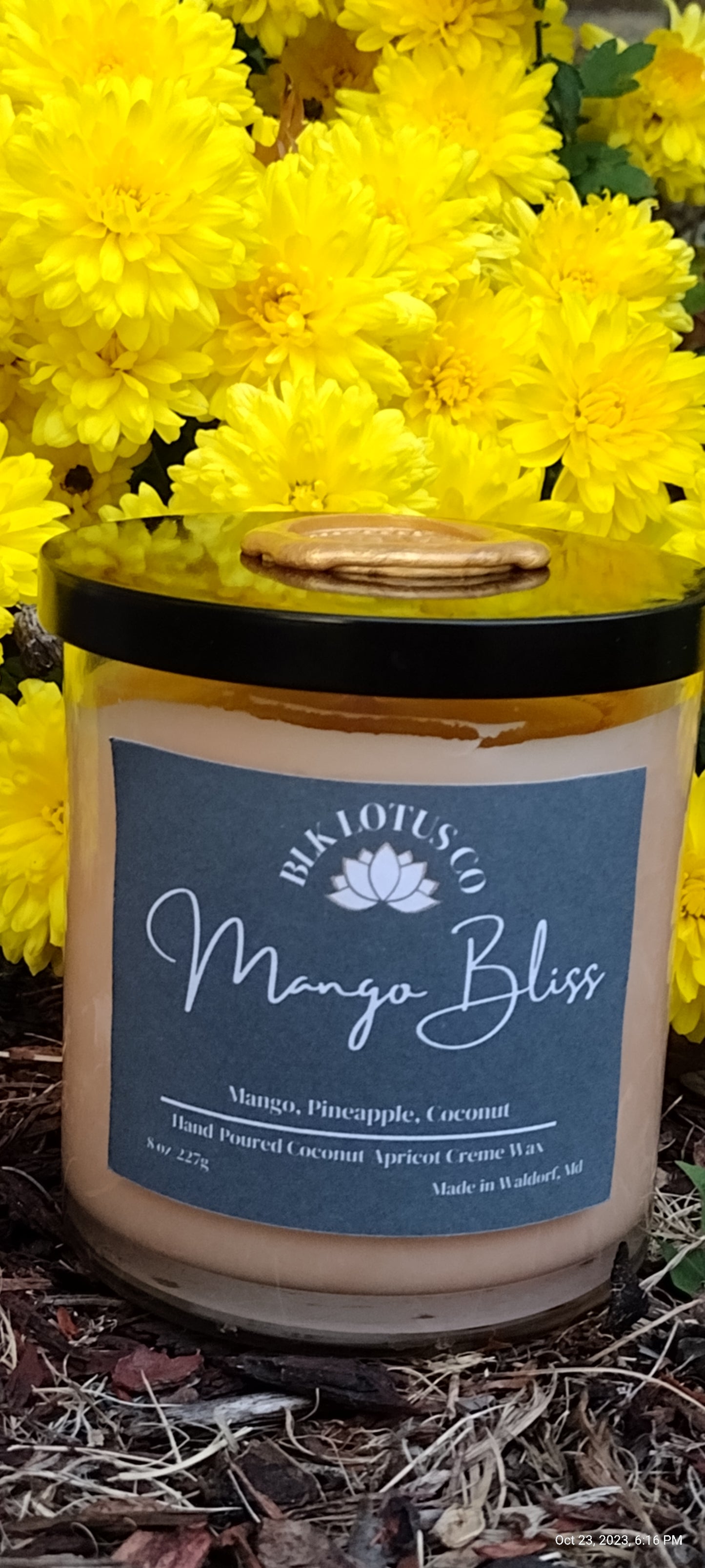 Mango Bliss Candle Luxe: Illuminating Elegance for Every Occasion