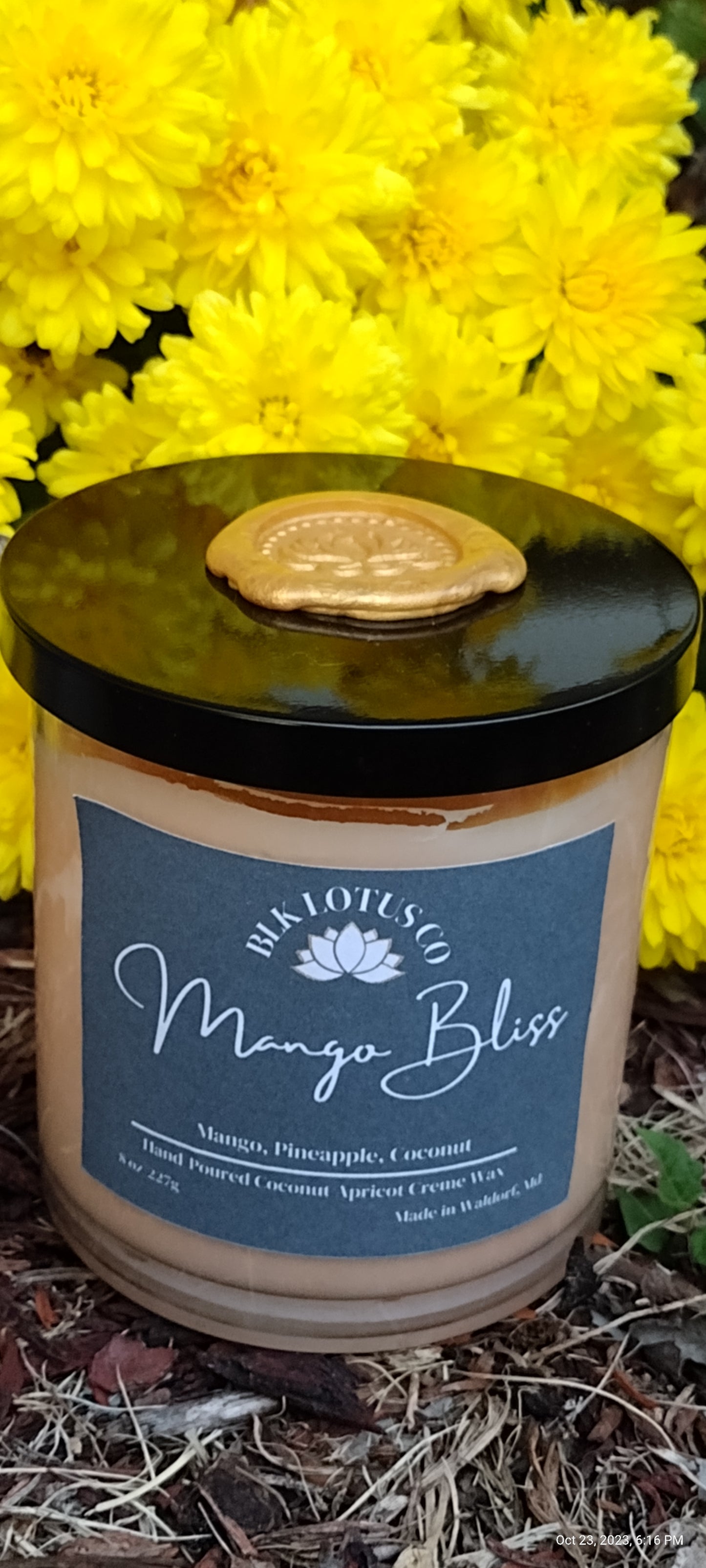 Mango Bliss Candle Luxe: Illuminating Elegance for Every Occasion